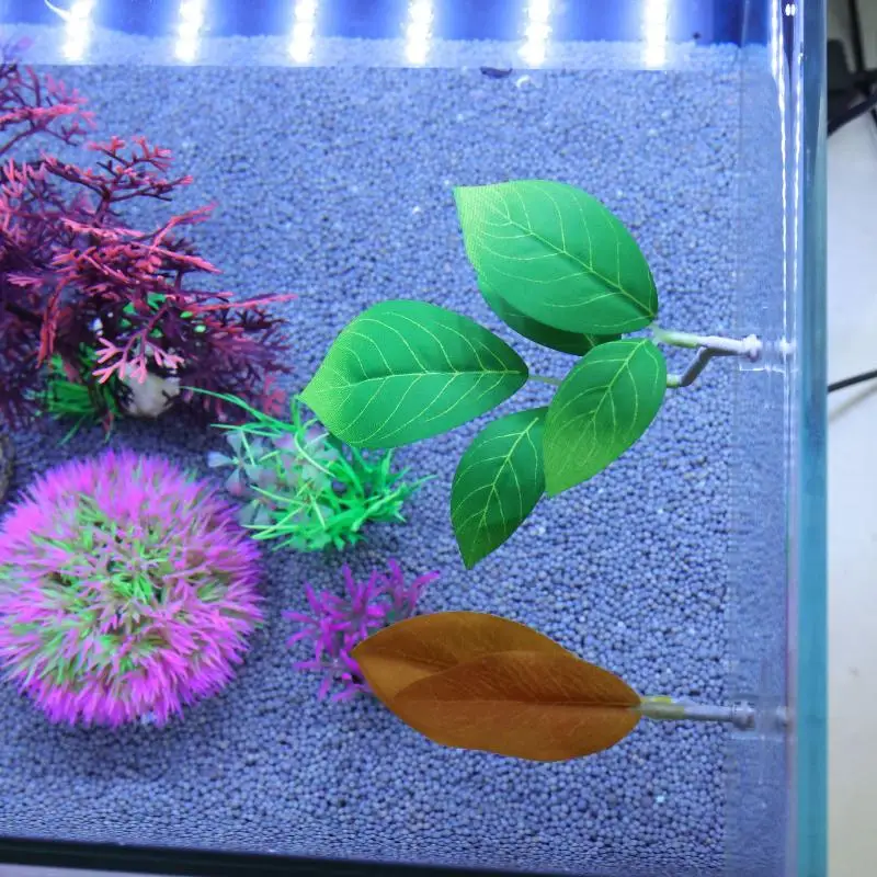 Betta Balığı Yaprak Hamağı Akv - Planted Aquarium For Betta incelemesi ve fiyatı