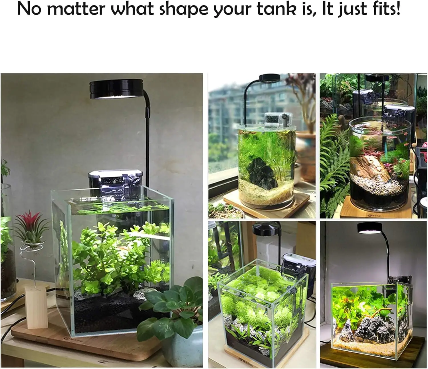 Bambu Tahtalı LED Akvaryum Büy - Planted Aquarium For Betta incelemesi ve fiyatı