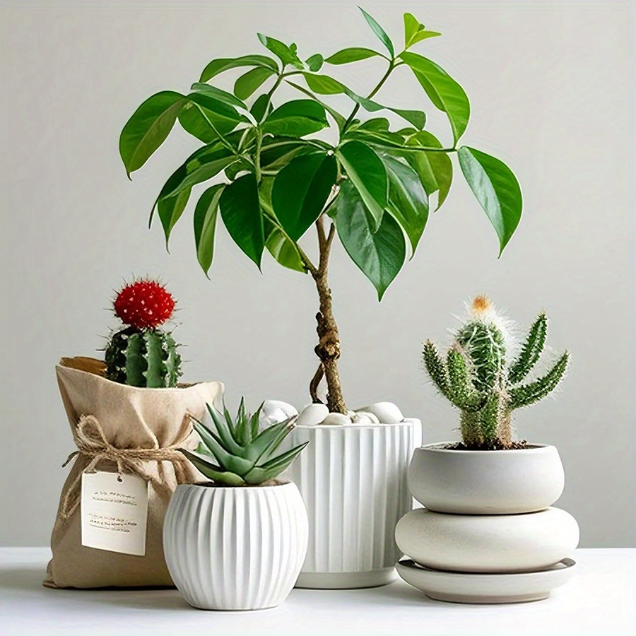 200/400g Beyaz Yüksek Parlaklı - Aquarium Plant In Pot incelemesi ve fiyatı