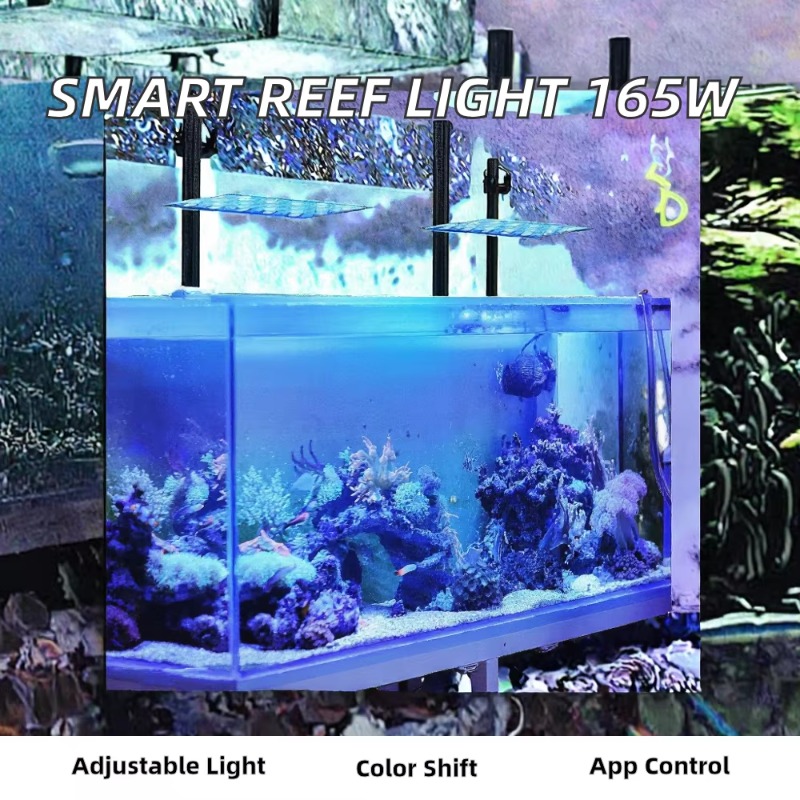 165W Kısılabilir WiFi APP Kont - Planted Aquarium Models incelemesi ve fiyatı