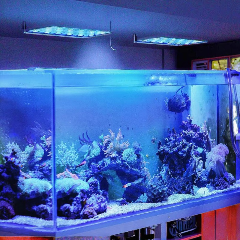 165W Kısılabilir WiFi APP Kont - Planted Aquarium Models incelemesi ve fiyatı