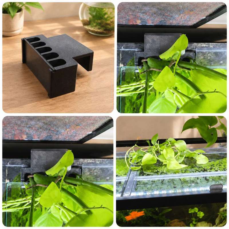 Balık Tankı Yan Bitki Montaj B - Aquarium Plant Holder incelemesi ve fiyatı