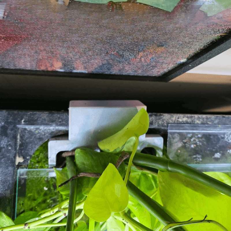 Balık Tankı Yan Bitki Montaj B - Aquarium Plant Holder incelemesi ve fiyatı