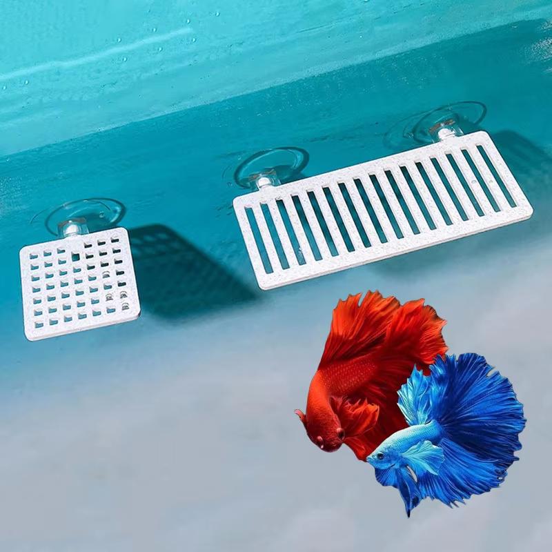 Plastik Balık Tankı Akvaryum Y - Planted Aquarium For Betta incelemesi ve fiyatı