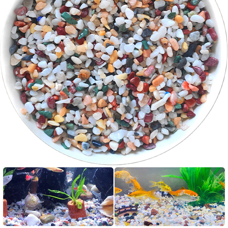 Doğal Çakıl Taşı 200 ~ 1000g M - Planted Aquarium With Gravel incelemesi ve fiyatı