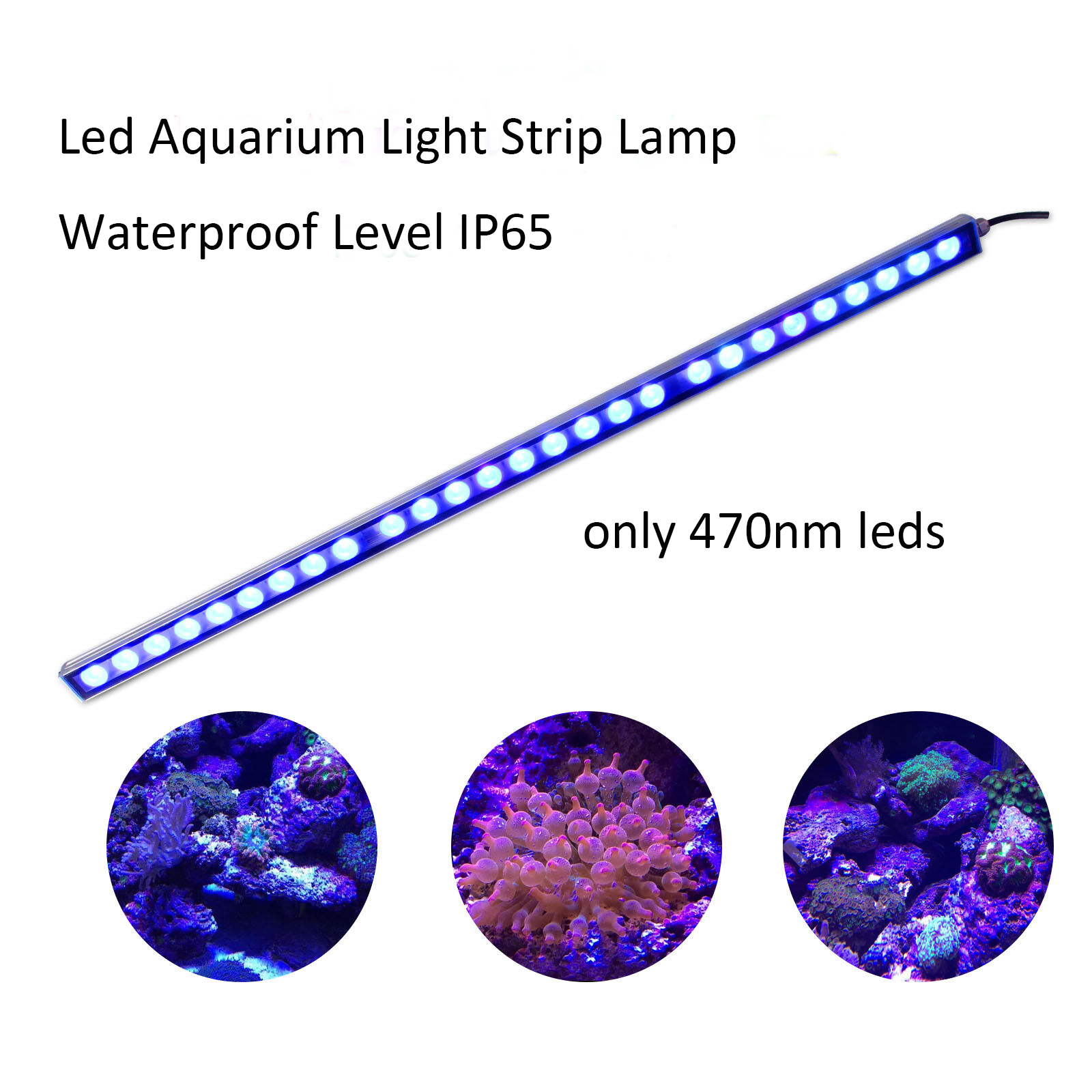 54W 81W 108W LED çubuk ışığı I - Aquarium Plant Growth Light incelemesi ve fiyatı