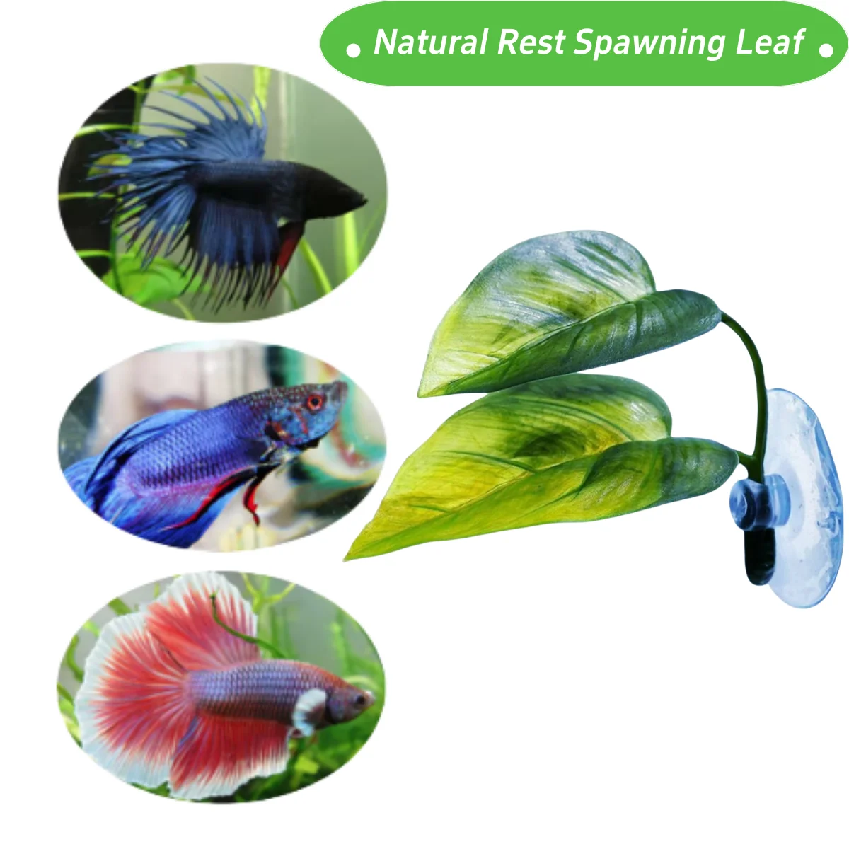 Evcil Hayvanlar İçin Akvaryum  - Planted Aquarium For Betta incelemesi ve fiyatı