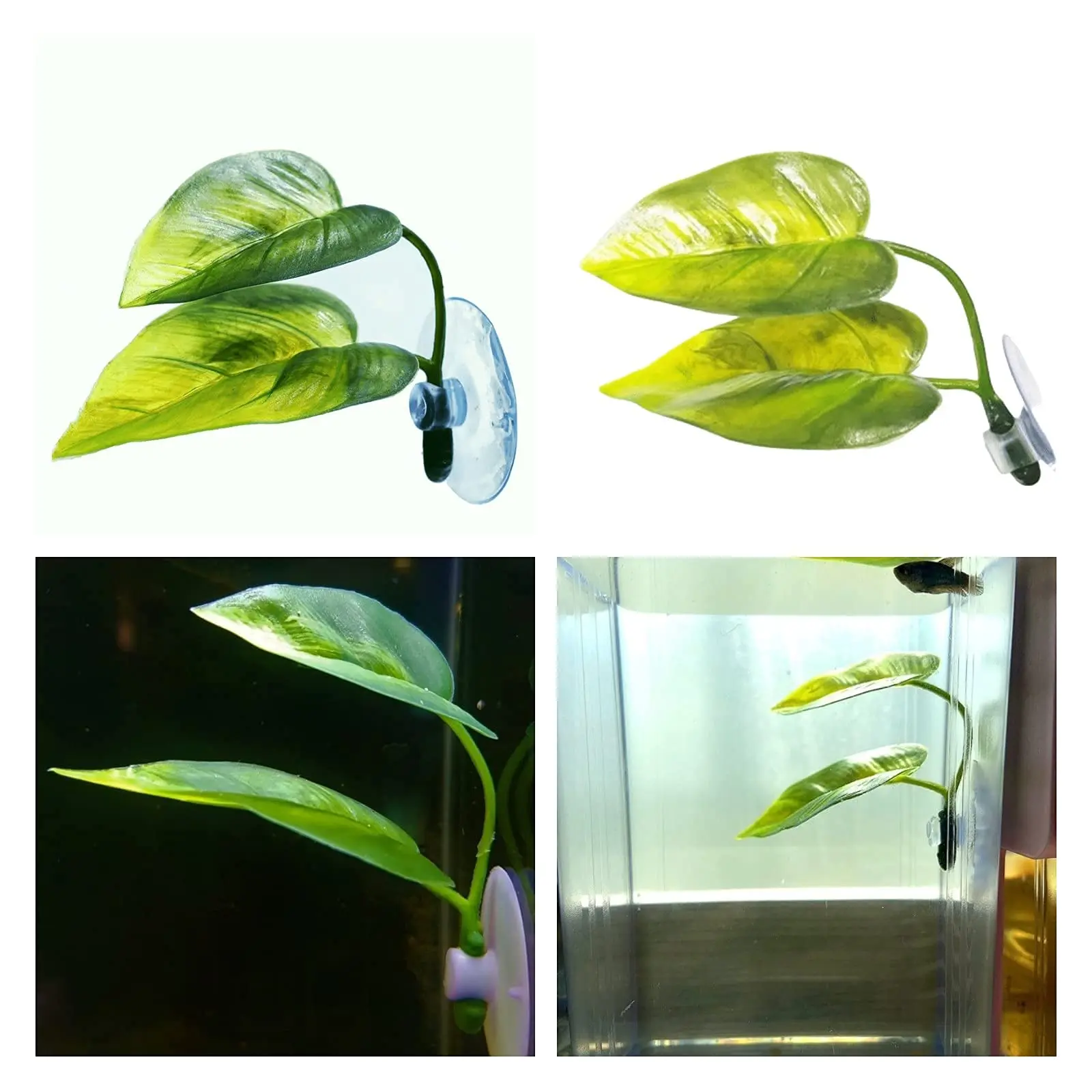 Evcil Hayvanlar İçin Akvaryum  - Planted Aquarium For Betta incelemesi ve fiyatı