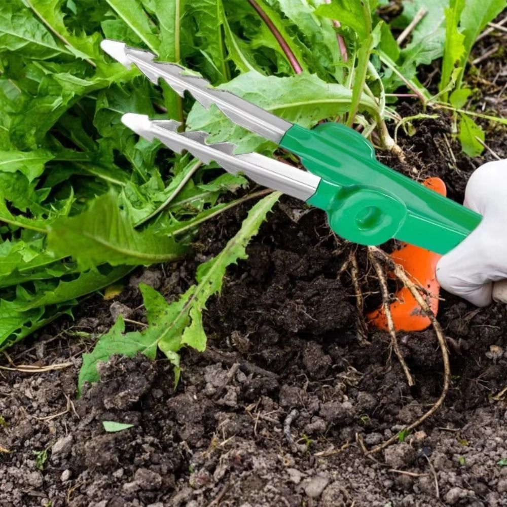 Paslanmaz Çelik Bahçe Cımbızı  - Planted Clip Tweezers incelemesi ve fiyatı