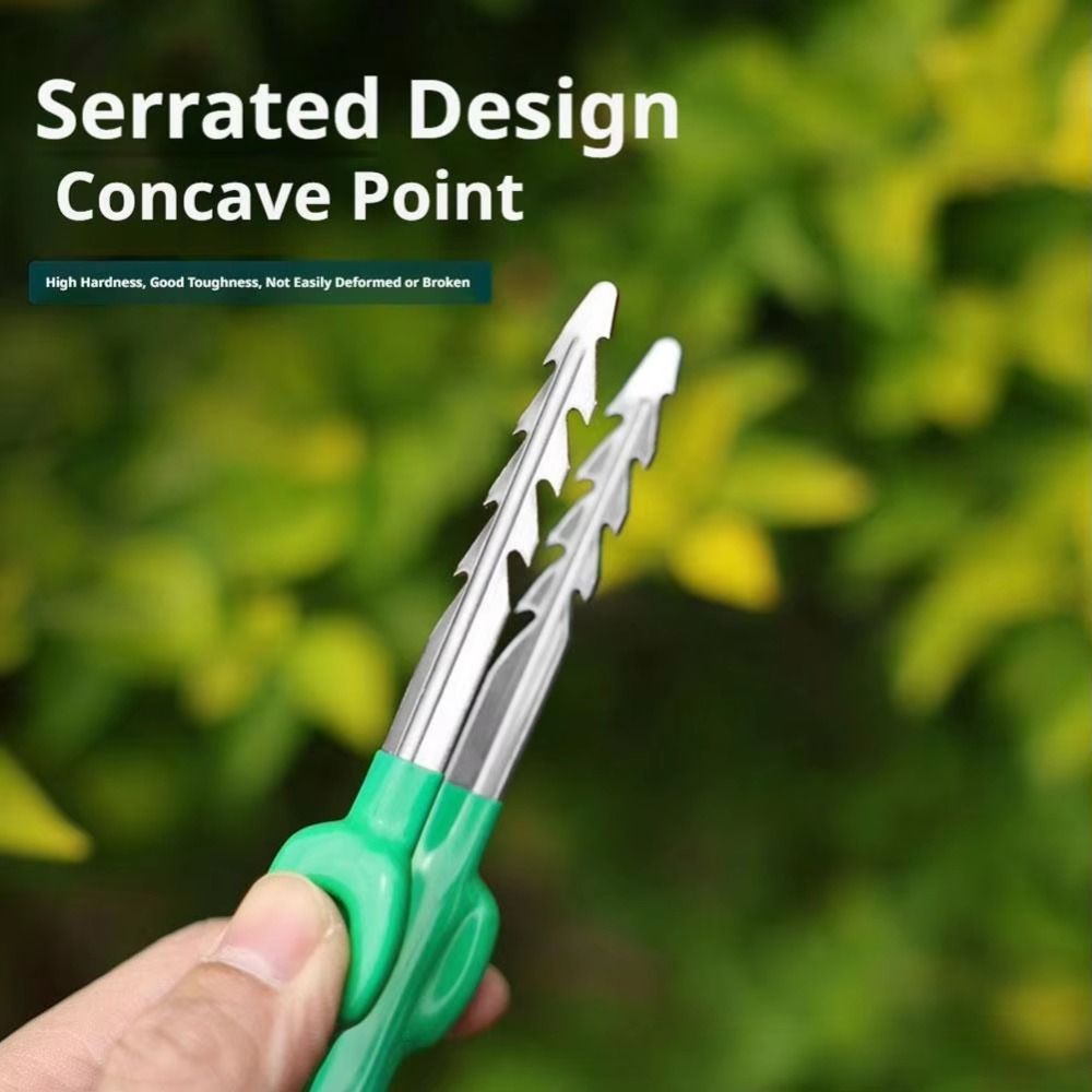 Paslanmaz Çelik Bahçe Cımbızı  - Planted Clip Tweezers incelemesi ve fiyatı