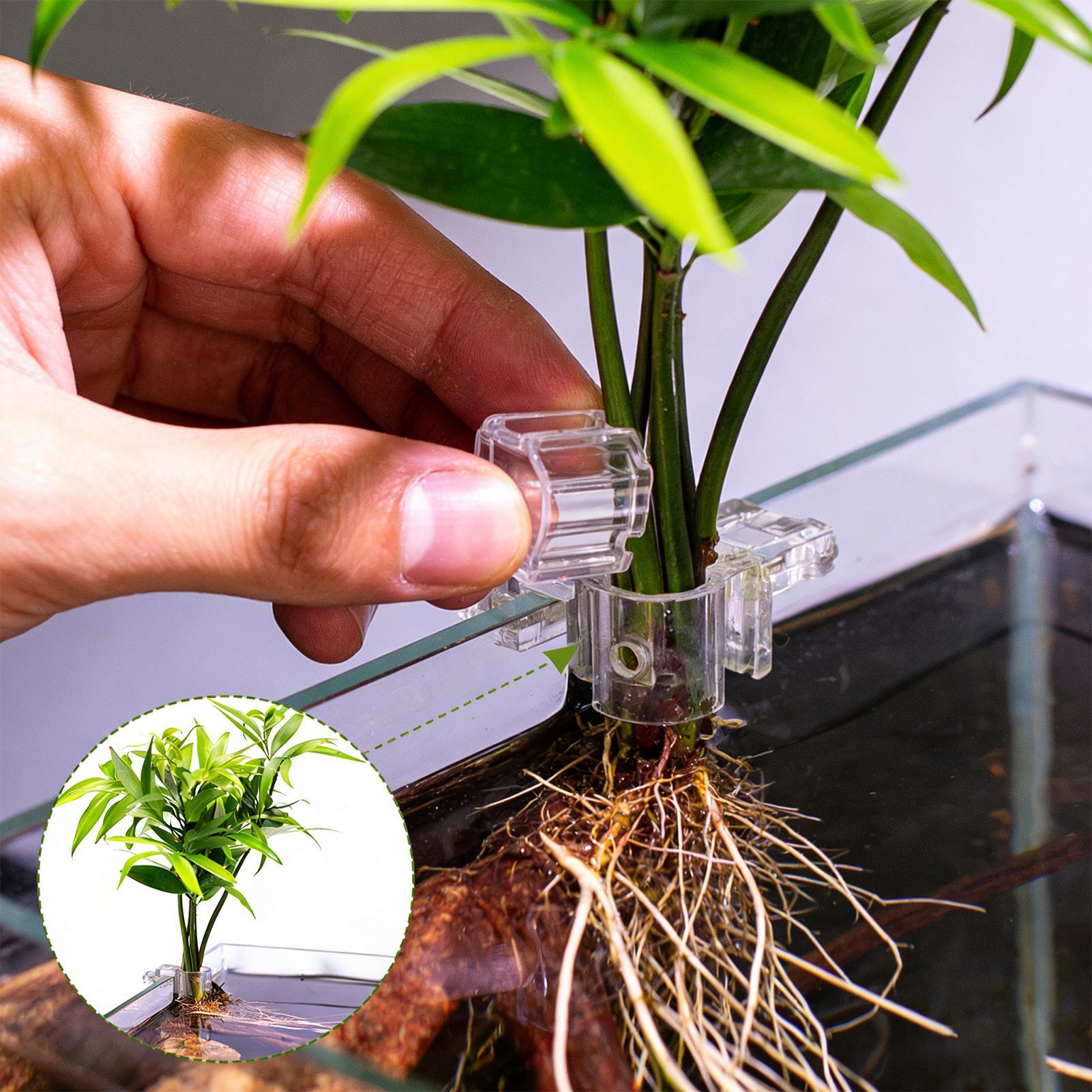 6 adet Akvaryum Bitki Tutucula - Aquarium Plant Holder incelemesi ve fiyatı