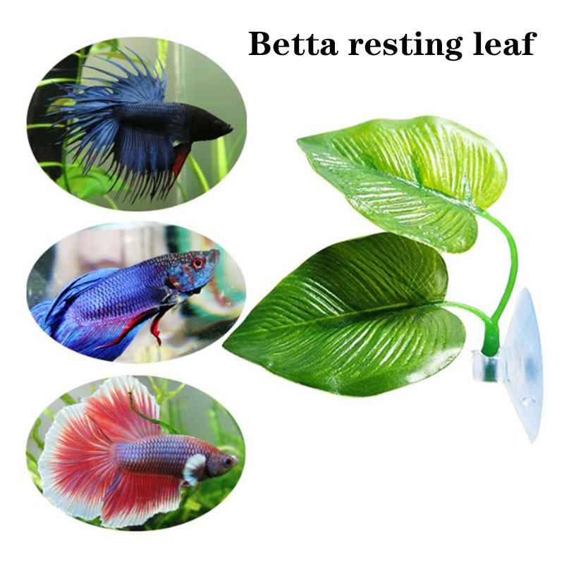 Betta Balığı Dinlenme Yeri Akv - Planted Aquarium For Betta incelemesi ve fiyatı