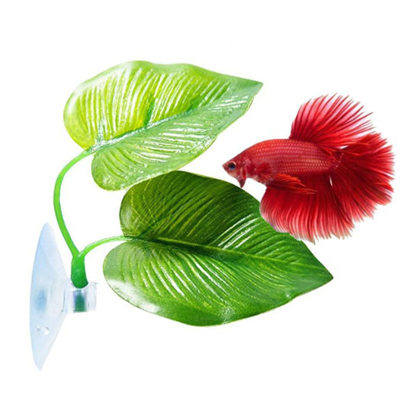 Betta Balığı Dinlenme Yeri Akv - Planted Aquarium For Betta incelemesi ve fiyatı
