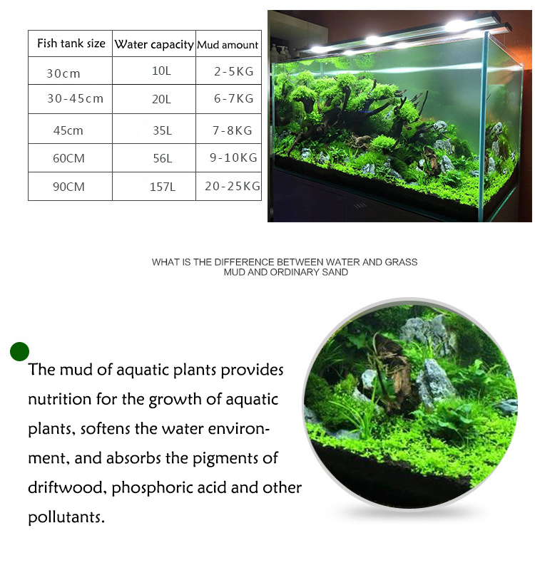 Akvaryum bitki tohumları topra - Aquarium Plant In Pot incelemesi ve fiyatı