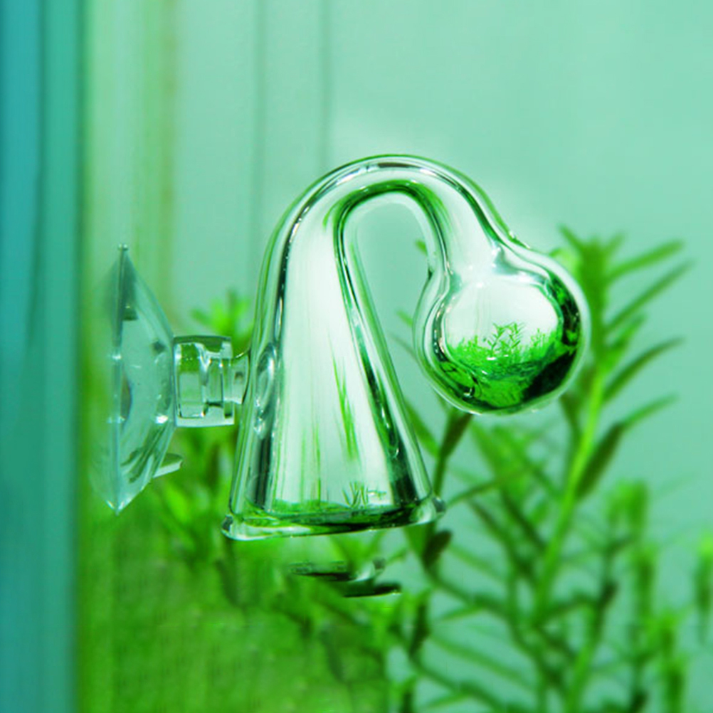 Monitör test cihazı akvaryum b - Aquarium Plant In Pot incelemesi ve fiyatı