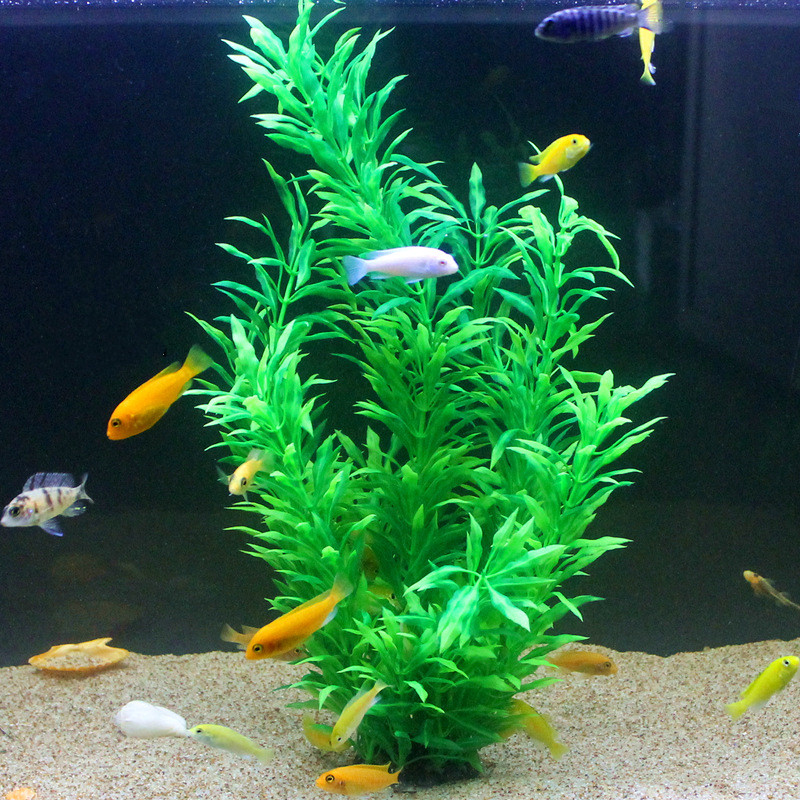 50 CM Yapay Balık Tankı Nadir  - Aquarium Plant Design incelemesi ve fiyatı