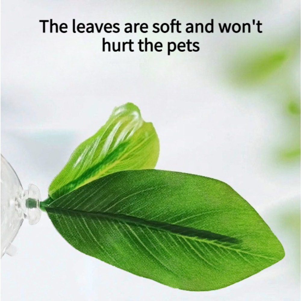 1 Adet Yeşil Yaprak Betta Balı - Planted Aquarium For Betta incelemesi ve fiyatı