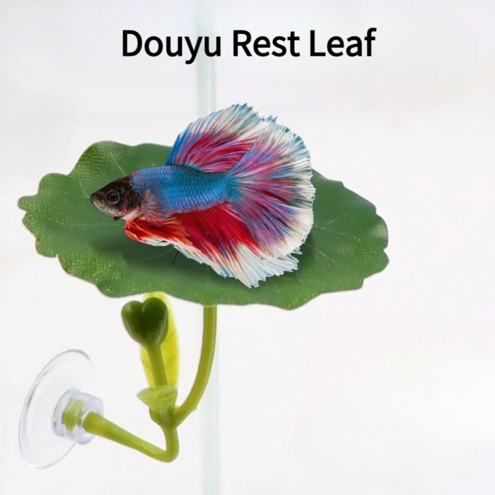 1 Adet Yeşil Yaprak Betta Balı - Planted Aquarium For Betta incelemesi ve fiyatı