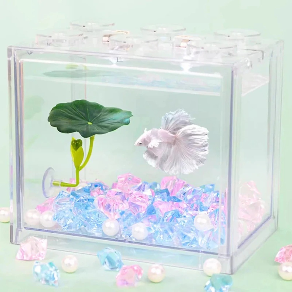 1 Adet Yeşil Yaprak Betta Balı - Planted Aquarium For Betta incelemesi ve fiyatı