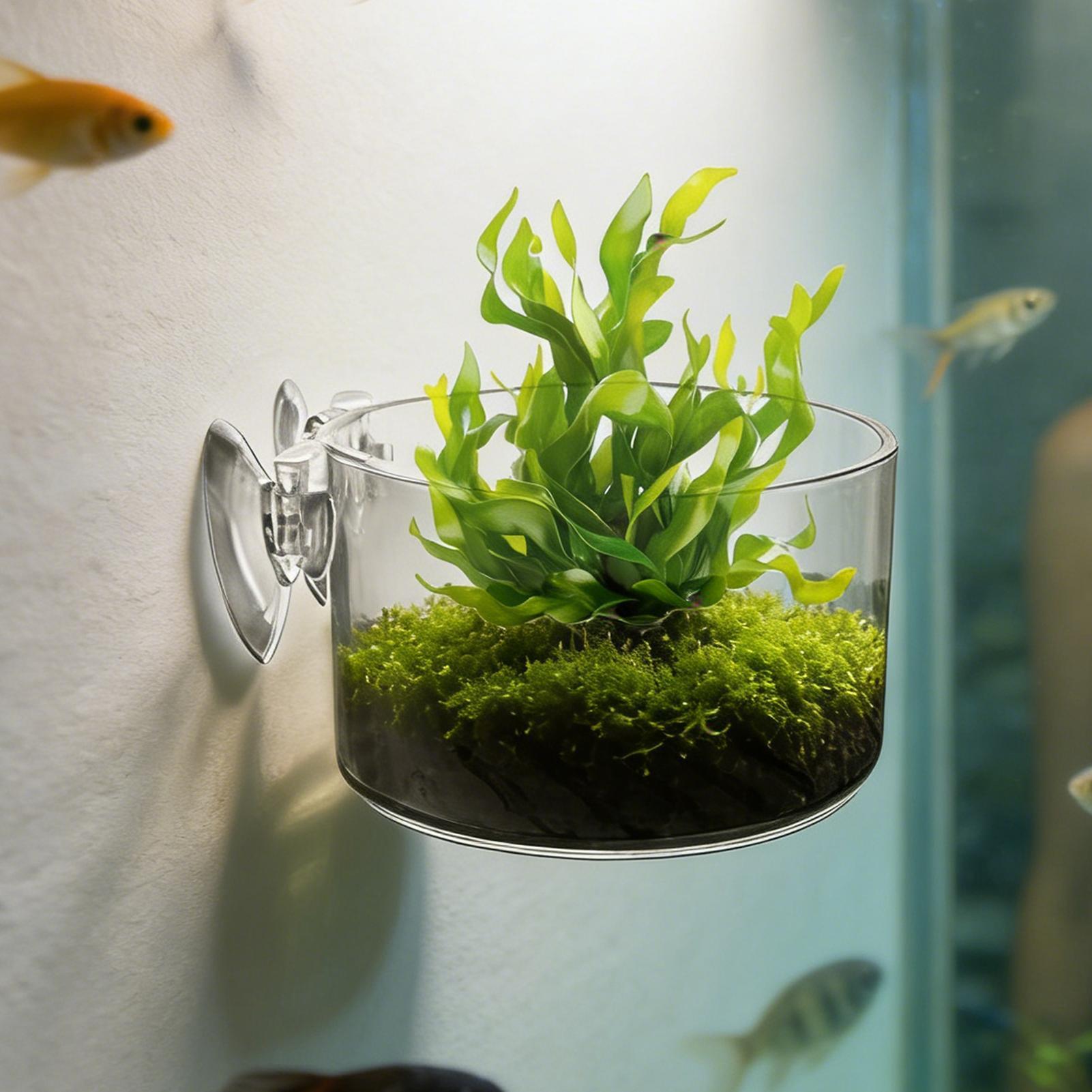 Akvaryum Bitki Tutucu Akrilik  - Aquarium Planted Background incelemesi ve fiyatı