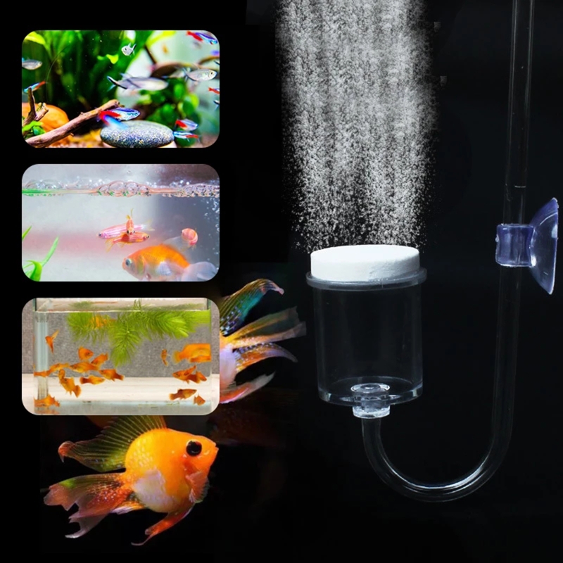 4 adet Set DIY CO2 difüzör içi - Aquarium Plant In Pot incelemesi ve fiyatı